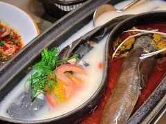 退秋鱼（一条）-锦府盐帮·李宅(领展购物广场中关村店)