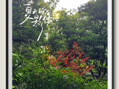 -秋霞圃