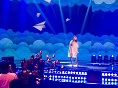  何洁-中央广播电视总台(光华路办公区)