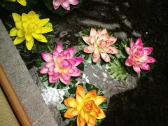 -汤泉良子(金源店)