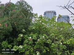 -艾溪湖湿地公园