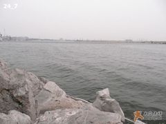 -海河外滩公园