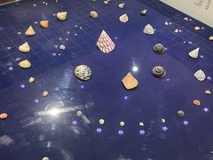 -青岛贝壳博物馆