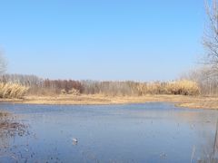 -溱湖国家湿地公园