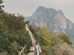 -大岭沟猕猴桃谷风景区