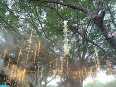-观澜湖生态运动公社