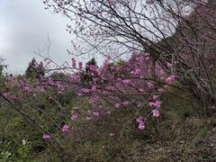 -天台山赤城山景区