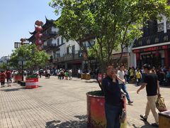 -叶受和(观前街店)