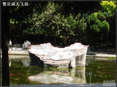 -江湾体育中心游泳馆