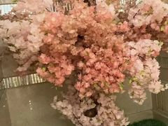 -美林大浴场(奥体中心店)