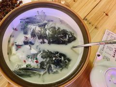 -全乐鱼馆·淳牌有机鱼直营店