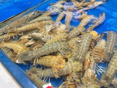 -北塘海鲜·天津菜(大光明桥旗舰店)