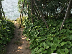 -上海滴水湖皇冠假日酒店