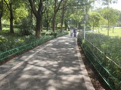 -东莞植物园