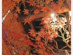 -农耕记·湖南土菜(科技园店)
