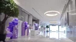 -派对猴生日派对策划