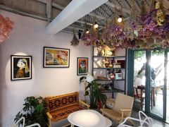 -喵屿·大理花园猫咖