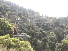 -南丹山森林王国