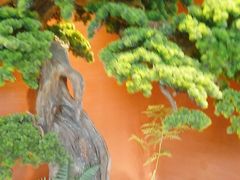 -阿伟海鲜楼·福建菜(延寿店)