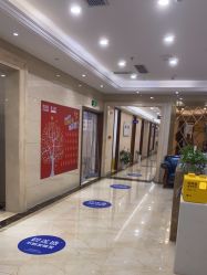 -碧莲盛·不剃发植发