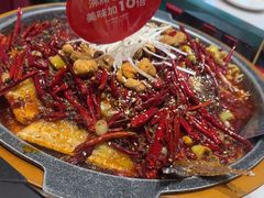 -南锣肥猫·麻辣烤鱼·16年现烤现卖(财富购物中心店)