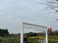 -金卉庄园