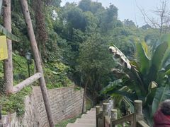 -乐山大佛风景名胜区乌尤寺南门-售票点