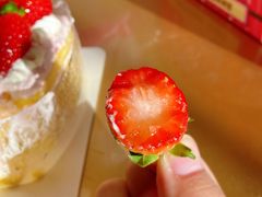 -PUFFRING帕芙琳(延兴门店)