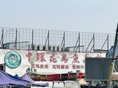 -中环花鸟鱼虫市场