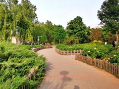 -莲花池公园