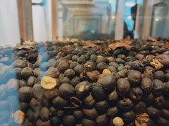 -MUSEO COFFEE咖啡博物馆