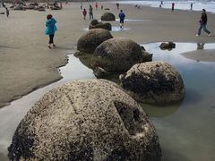 -摩拉基大圆石