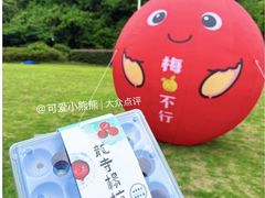 -龙寺生态园