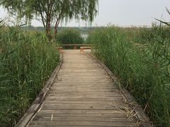 -绿堤公园
