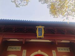 -西门刘东拉面馆(金珠花苑店)