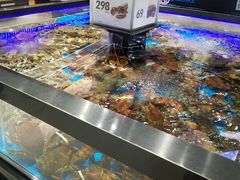 水产区-盒马鲜生(岭南新世界店)