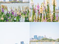 -顺峰山公园