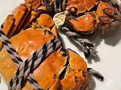 -上海明天广场JW万豪酒店