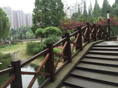 -温江公园