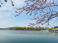 -大兴滨河森林公园