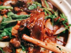 啫啫小甲鱼-金龙·打边炉(武进路店)