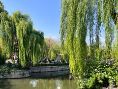 -台儿庄古城