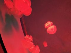 -福州罗源湾海洋世界旅游区