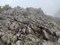 -花岙岛