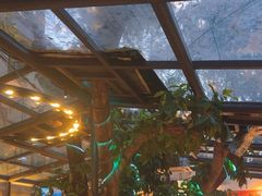 -海岛八号龙虾烧烤田鸡(蓝天路总店)