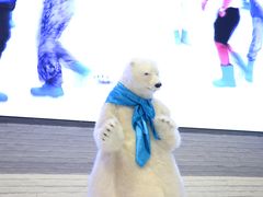 -Mr·Kuma酷么先生雪之乐园