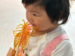 -长鹿旅游休博园