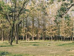 -汇泉广场