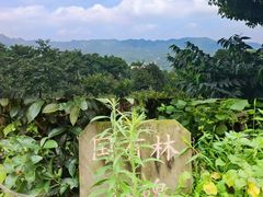 -南山植物园