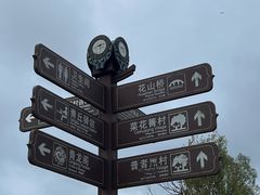 -普者黑风景区-青龙山